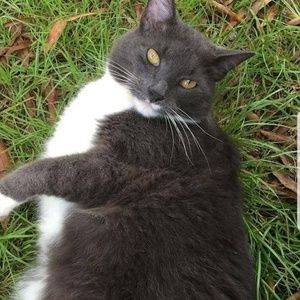 Meet your Posher, Carolina